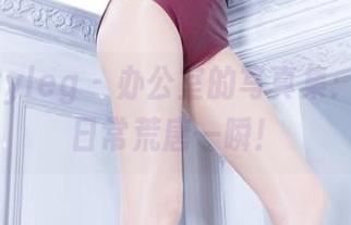 beautyleg – 办公室的写真集：Xin的日常荒唐一瞬！