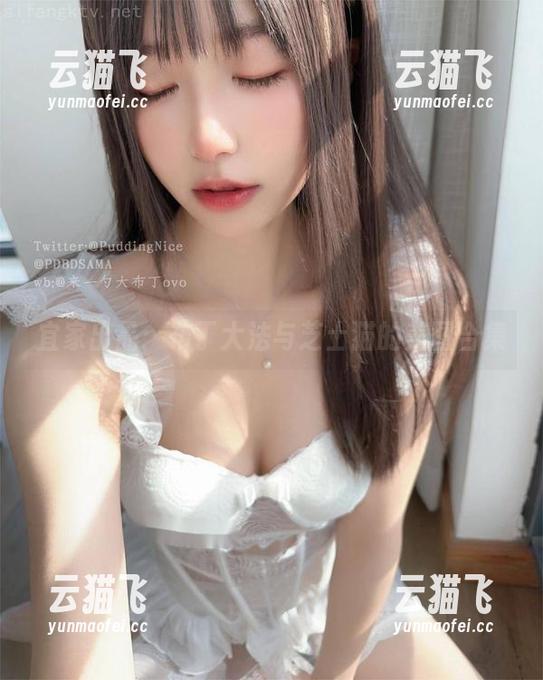 宜家出品：布丁大法与芝士猫的美图合集
