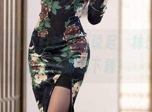 语画界 – 从“白衬衫”说起，林乐一的合集你绝对想下载！